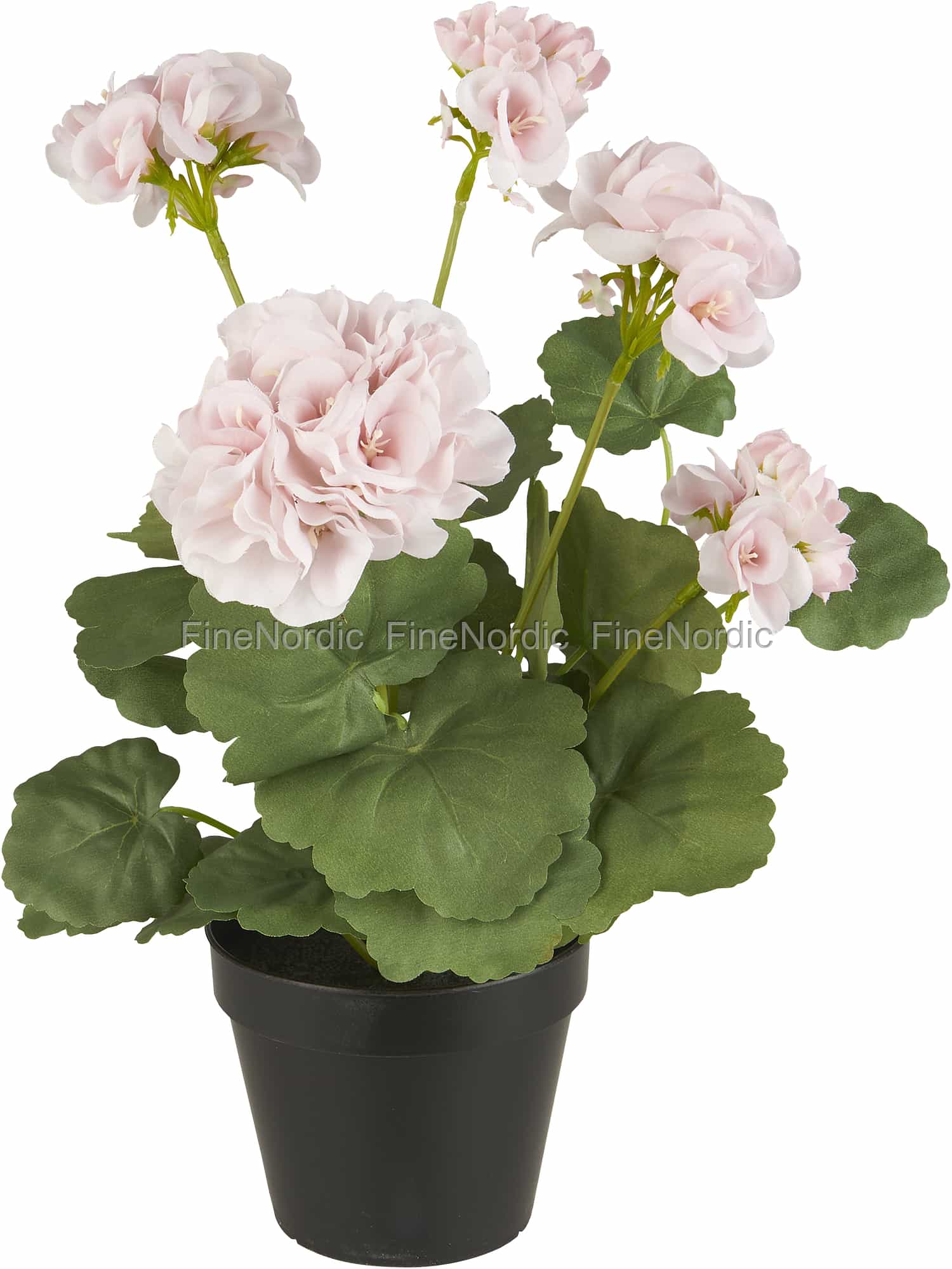 Ib Laursen Geranie in Topf Rosa Blumen